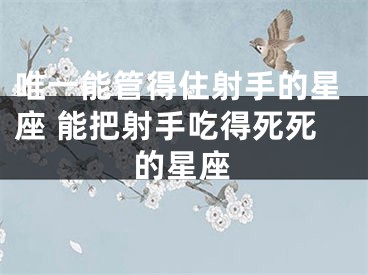 唯一能管得住射手的星座 能把射手吃得死死的星座