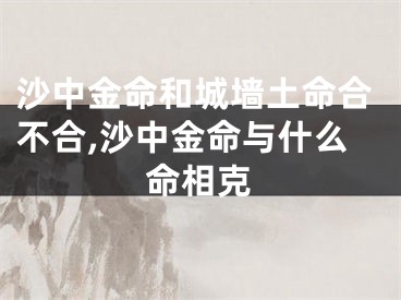 沙中金命和城墙土命合不合,沙中金命与什么命相克