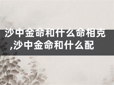 沙中金命和什么命相克,沙中金命和什么配