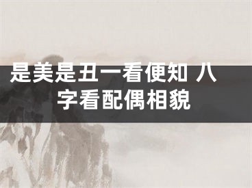 是美是丑一看便知 八字看配偶相貌