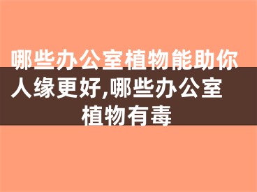 哪些办公室植物能助你人缘更好,哪些办公室植物有毒