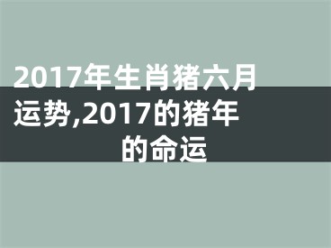 2017年生肖猪六月运势,2017的猪年的命运