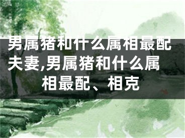 男属猪和什么属相最配夫妻,男属猪和什么属相最配、相克