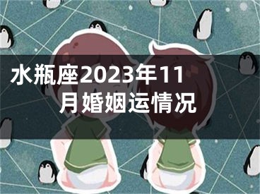 水瓶座2023年11月婚姻运情况