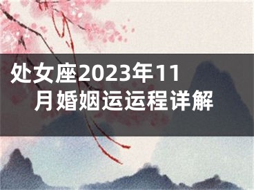 处女座2023年11月婚姻运运程详解