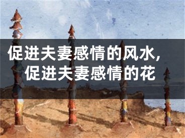 促进夫妻感情的风水,促进夫妻感情的花