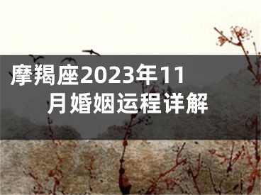 摩羯座2023年11月婚姻运程详解