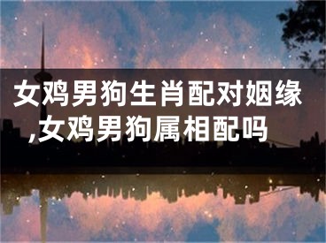 女鸡男狗生肖配对姻缘,女鸡男狗属相配吗