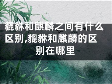 貔貅和麒麟之间有什么区别,貔貅和麒麟的区别在哪里