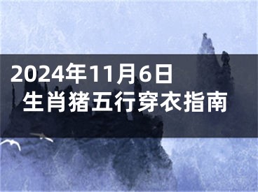 2024年11月6日生肖猪五行穿衣指南