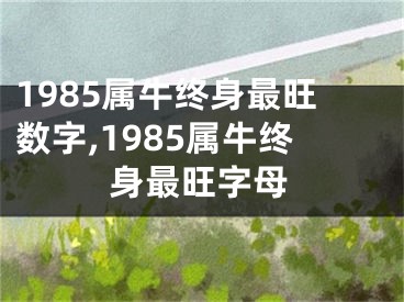 1985属牛终身最旺数字,1985属牛终身最旺字母