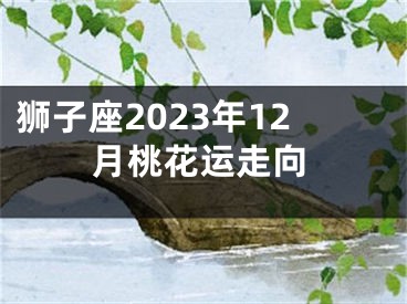 狮子座2023年12月桃花运走向