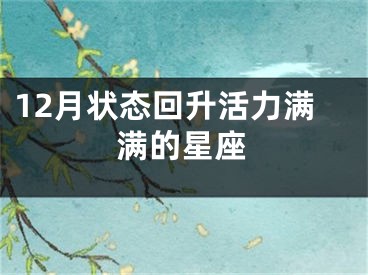 12月状态回升活力满满的星座