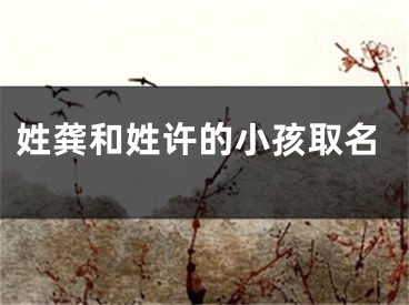 姓龚和姓许的小孩取名