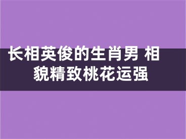 长相英俊的生肖男 相貌精致桃花运强