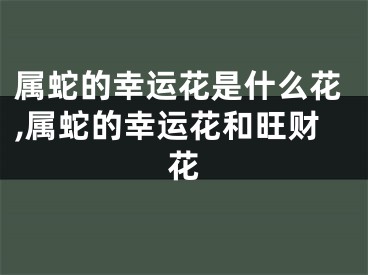 属蛇的幸运花是什么花,属蛇的幸运花和旺财花