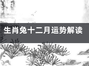 生肖兔十二月运势解读