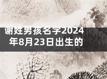 谢姓男孩名字2024年8月23日出生的