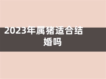 2023年属猪适合结婚吗