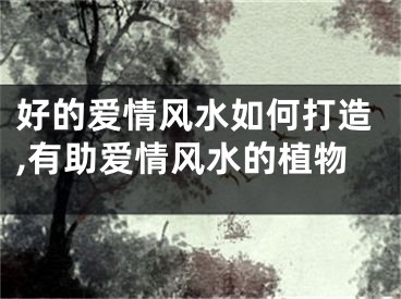 好的爱情风水如何打造,有助爱情风水的植物