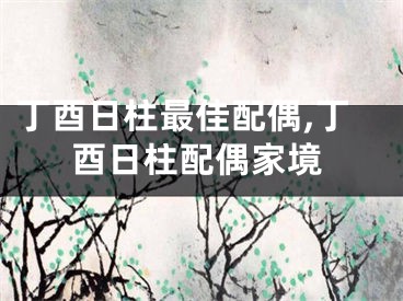 丁酉日柱最佳配偶,丁酉日柱配偶家境