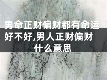 男命正财偏财都有命运好不好,男人正财偏财什么意思
