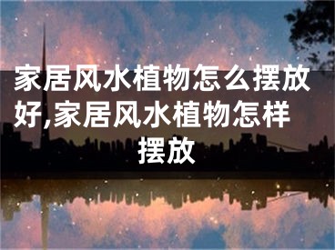 家居风水植物怎么摆放好,家居风水植物怎样摆放