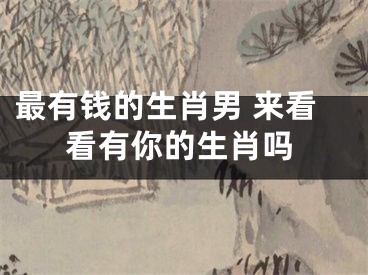 最有钱的生肖男 来看看有你的生肖吗