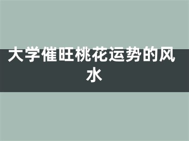 大学催旺桃花运势的风水