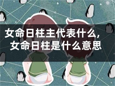 女命日柱主代表什么,女命日柱是什么意思