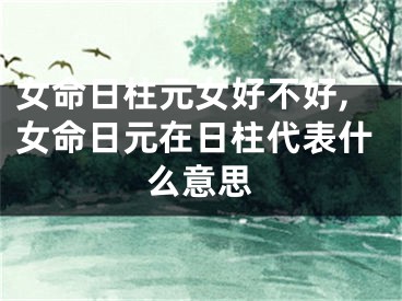 女命日柱元女好不好,女命日元在日柱代表什么意思
