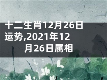十二生肖12月26日运势,2021年12月26日属相