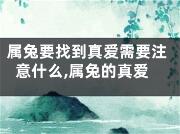 属兔要找到真爱需要注意什么,属兔的真爱