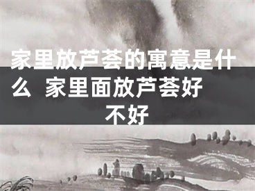 家里放芦荟的寓意是什么  家里面放芦荟好不好