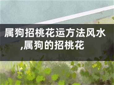 属狗招桃花运方法风水,属狗的招桃花