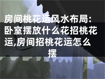 房间桃花运风水布局:卧室摆放什么花招桃花运,房间招桃花运怎么摆