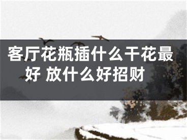 客厅花瓶插什么干花最好 放什么好招财