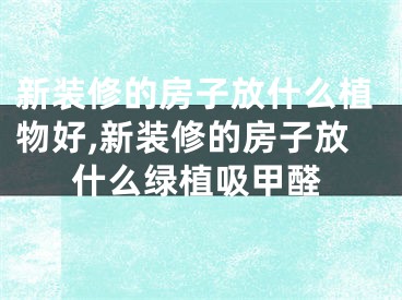 新装修的房子放什么植物好,新装修的房子放什么绿植吸甲醛