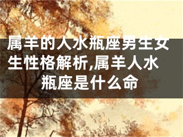 属羊的人水瓶座男生女生性格解析,属羊人水瓶座是什么命