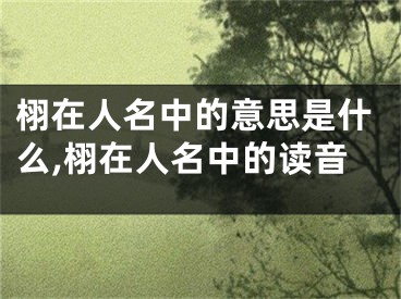 栩在人名中的意思是什么,栩在人名中的读音