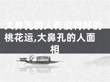大鼻孔的人有没有好的桃花运,大鼻孔的人面相
