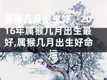 属猴几月出生好，2016年属猴几月出生最好,属猴几月出生好命运