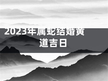 2023年属蛇结婚黄道吉日
