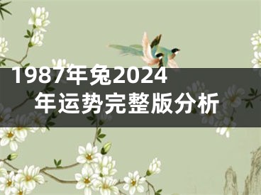 1987年兔2024年运势完整版分析