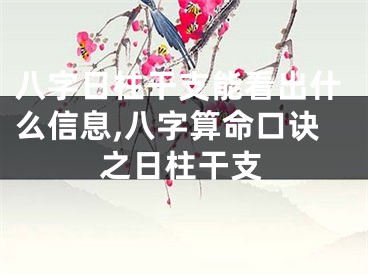 八字日柱干支能看出什么信息,八字算命口诀之日柱干支