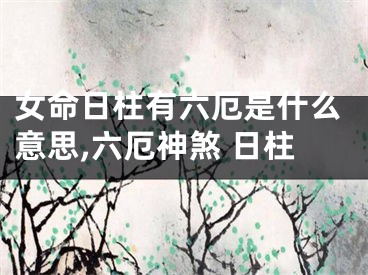 女命日柱有六厄是什么意思,六厄神煞 日柱