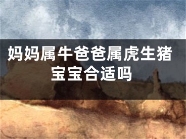 妈妈属牛爸爸属虎生猪宝宝合适吗