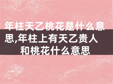 年柱天乙桃花是什么意思,年柱上有天乙贵人和桃花什么意思