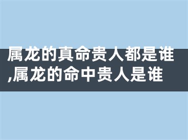 属龙的真命贵人都是谁,属龙的命中贵人是谁