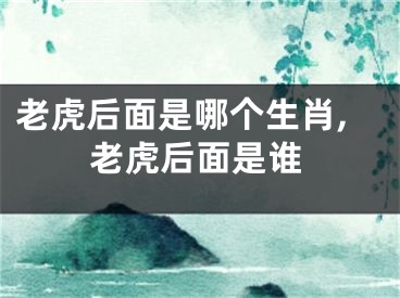 老虎后面是哪个生肖,老虎后面是谁